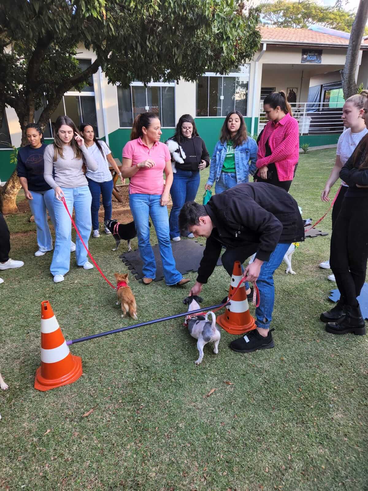curso-de-pos-graduacao-em-fisioterapia-fisiatria-e-reabilitacao-veterinaria