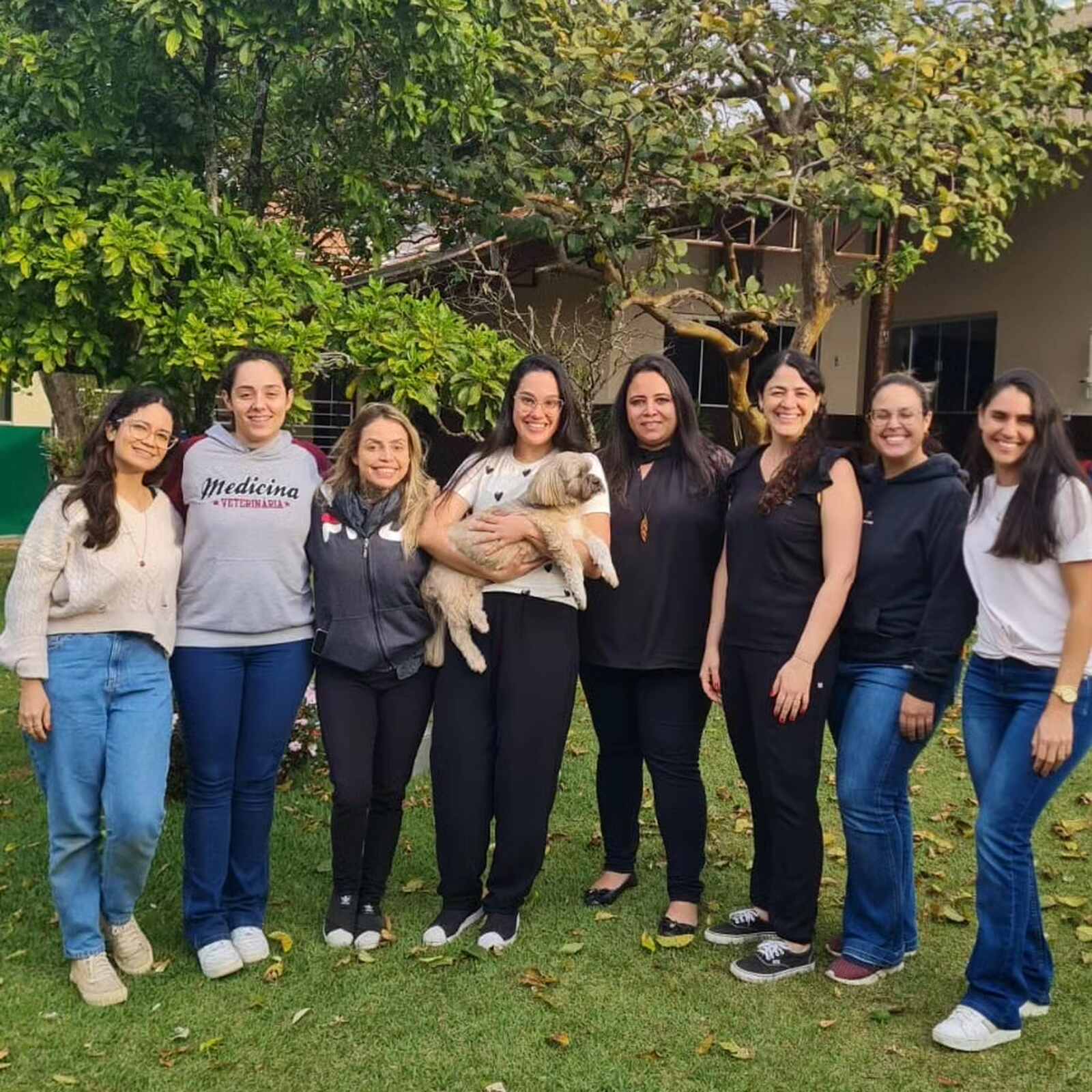curso-de-formacao-em-quiropraxia-de-pequenos-animais